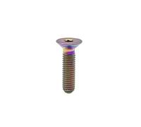 10pcs M4 8/10/12/15/20/25/30 TA2 Titanium With Gloden Rainbow Colour Allen Hex Head Screw(Rainbow,30mm/M4 5PCS)