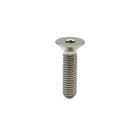 10pcs M4 8/10/12/15/20/25/30 TA2 Titanium With Gloden Rainbow Colour Allen Hex Head Screw(Titanium,25mm/M4 5PCS)
