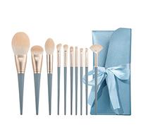 10Pcs Make up Brushes, Make up Brushes Set Professional, Foundation Blush Eyeshadow Concealer Blending Eyebrow Powder Synthetic Brushes for Makeup Set, Face Makeup Brush with Cosmetic Bag (Blue)