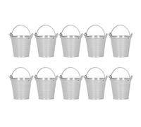 10PCS Metal Succulent Plant Pots - Mini Rust-Resistant Flower Pots for Indoor/Outdoor, Small Metal Bucket Planters for Balcony, Windowsill, Office Desk Decor (Silver)