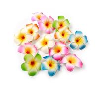 10Pcs Multicolor Hawaii Plumeria Flower Clips Hawaiian Flower Hair Barrettes Beach Party Hair Clips Artificial Tropical Flowers Hairpins for Wedding Hair Accessories (7cm),Clips and Barrettes
