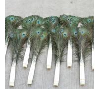 10PCS Natural Big Eyes Peacock Feather 25-80CM Feathers for Party Home Decorative Peacock Plume-70-80cm