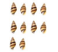 10pcs Natural Conch Shell Buttons with Unique Patterns for Fashion Designers and Craft Project Clothing Supply Craft Clothing Button Set