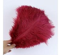 10Pcs Natural Rose Red Ostrich Feathers for Crafts Wedding Decor 15-60cm Carnival Party Ostrich Plumes Centerpiece Decoration-Wine red-15-20CM
