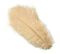 10PCS Natural White Ostrich Feather for Crafts Wedding Home Carnival Decoration Table Centerpieces 15-20CM 20-25CM 30-35CM Plume-22 khaki-35-40cm 16-18inch
