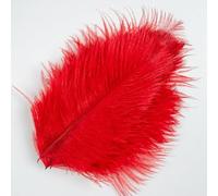 10Pcs Natural White Ostrich Feathers 10-15cm Wedding Party Home Decoration Ostrich Plume Craft Supplies-red