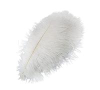 10pcs Natural White Ostrich Feathers Bulk,Long Tail Plumes Crafts Feathers for Party Wedding Centerpiece Festival Vases Decoration Christmas Party,Home Decor,40-45cm Decorations