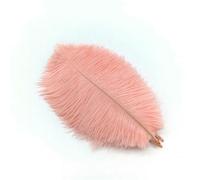 10Pcs Ostrich Feathers Plumes DIYJewelry Making Wedding Home Decoration Crafts Accessories Needlework Plumas Table Centerpieces-Shell Pink feathers-10pcs 25.30cm