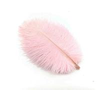 10Pcs Ostrich Feathers Plumes DIYJewelry Making Wedding Home Decoration Crafts Accessories Needlework Plumas Table Centerpieces-Light Pink feathers-10pcs 15.20cm