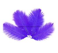 10PCS Ostrich Feathers Plumes Fluffy 8-10 Inches Long - Purple