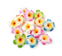 10Pcs Plumeria Hair Clip, Multicolor Hawaii Plumeria Clips, Hawaiian Flower Hair Barrettes Beach Party Hair Clips Artificial Tropical Flower Hairpins for Wedding Hair Accessories (7cm)
