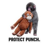 10Pcs Protect Punch The Monkey Stickers, Cute Monkey Holding Plush Toy, Waterproof Vinyl Decal Stickers, Easy Paste & Remove Decor for Laptop, Water Bottle, Phone, Car, Bedroom & Living Room