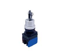 10pcs Rotary Key Switch LAY38S-10Y/21 Self Reset Locking 2/3 Position Selection Silver 22mm Mounting NO NC IDGTTLDF(1NO,2P Momentary)