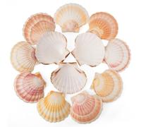 10PCS Scallop Shells 4‘’-4.5" Natural Sea Shells Yellow & Pink Hawaiian Scallop Shells for Baking DIY Craft Home Vase Fillers & Beach Wedding Party Decor (10)