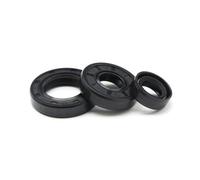 10pcs Tc 23x30x4~23x68x8 NBR Skeleton Oil Seal Nitrile Rubber Sealing Ring Rotary Gaskets Inner Diameter 23mm Gasket Lip With Spring(TC 23x38x10mm NBR)