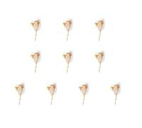 10Pcs Tiny Natural Dried Flower Bouquets 10cm High, AA