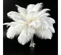 10pcs White Ostrich Feathers for Crafting 10-12(25-30cm) Natural Bulk Feathers for Home Wedding Party Vase and Day Decoration