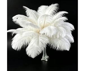 10pcs White Ostrich Feathers for Crafting 10-12(25-30cm) Natural Bulk Feathers for Home Wedding Party Vase and Day Decoration