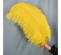 10Pcs Yellow Ostrich Feather for Crafts Fluffy Large Feathers Centerpieces for Wedding Table Natural Pluma Decoration Handicraft