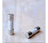 10Pieces LT 215 Fuse Ceramics Acoustic Fever Fuse Tube HiFi Fuse Slow Melting 1.25A 2A 3.15A 4A 8A 10A 5 * 20mm Accessories Protected circuits (Color : 1.25a-10pcs)