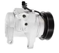 10S17C A/C AC Compressor Compatible for Dodge Dakota Ram 1500 3.7L 4.7L 2011327AM TEM275645 TEM252396 55056435AB RL056444AC CO10800C 275645