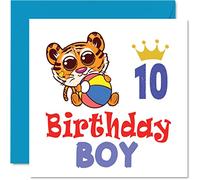 10th Birthday Card Boy - Tiger Beach Ball - Happy Birthday Card 10 Year Old Boy, Boys Cards for Him, 145mm Greeting for Son Nephew Grandson Kid Children