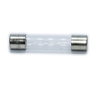 10X 522.502 Fuse: fuse time-lag 32mA 250VAC cylindrical,glass 5x20mm ESKA