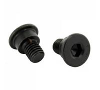 10x Brake disc screw BGK005 DELPHI