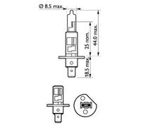 10x Bulb P14.5s H1 12258LLECOB1 PHILIPS for OPEL BMW FORD ALFA ROMEO CITROËN VW