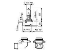 10x Bulb P20d HB3 9005PRC1 PHILIPS for ALFA ROMEO MITSUBISHI PEUGEOT TOYOTA FIAT