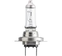 10x Bulb PX26d H7 12972LLECOB1 PHILIPS for LAND ROVER AUDI SEAT MERCEDES-BENZ VW