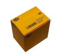 10x Bulb SV8.5-8 8GM 002 091-141 HELLA