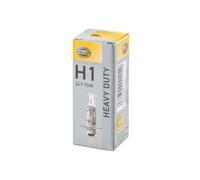 10x Hella 8GH002089-251 Lower Spotlight Bulb Fits DAF Irisbus Iveco Landini MAN