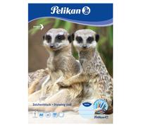 10x Pelikan Drawing Pad din A4 20 Sheet 100 G/m2 Paper Cardboard Sketches Paint
