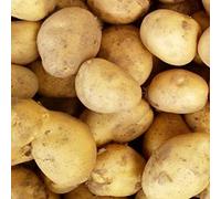 10x Seed Potatoes Sharpes Express - RHS Award of Garden Merit - First Earlies - Superb Traditional Flavour - for Your Beautiful Garden