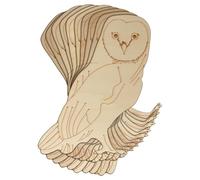 10x Wooden Barn Owl Perching Craft Shape 3mm Ply Bird Deciduous Farm Animal(12 x 9.7cm,No Hole)