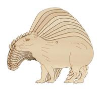 10x Wooden Capybara Walking Sideon Roming Craft Shape 3mm Ply Animals Safari(15 x 22.8cm,Hole Top Centre)