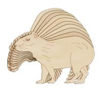 10x Wooden Capybara Walking Sideon Roming Craft Shape 3mm Ply Animals Safari(20 x 30.4cm,No Hole)