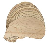 10x Wooden Hedgehog European Acurate Craft Shape 3mm Ply Wildlife Animals(8 x 14.4cm,Hole Top Centre)