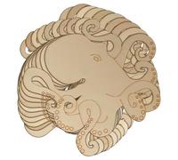 10x Wooden Octopus Hunting Craft Shapes 3mm Plywood Nautical Sealife Mollusca(15 x 15cm,No Hole)