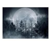 10x8ft Moon Backdrop Night Scenery Woodland Forest Photography Background Starry Sky Night Landscape Halloween Decoration Backdrops Photo Booth Studio Props