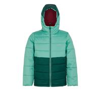 (11-12 Years, Dusty Green/Rainforest) Regatta Childrens/Kids Lofthouse VIII Insulated Jacket