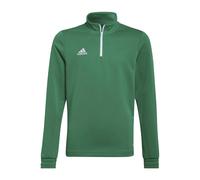 (11-12 Years, Green/White) Adidas Childrens/Kids Entrada 22 Recycled Polyester Training Top