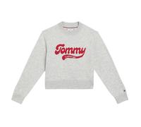 (11-12 Years, Light Grey Heather) Tommy Hilfiger Childrens/Kids Varsity Intarsia Logo Sweater Top