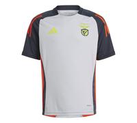 (11-12 Years, Light Grey Solid) Adidas Childrens/Kids SL Benfica Training Jersey