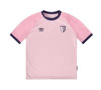 (11-12 Years, Pink) Umbro Childrens/Kids AFC Bournemouth Raglan T-Shirt