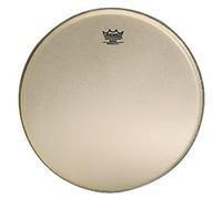 11"2/16 BANJO HD RENAISS.-HC