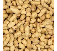 11.3kg Premium Safe Wild Bird Food Monkey Nuts Afflotoxin Free
