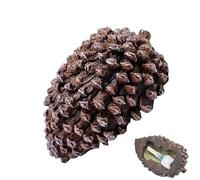 11.5x5.7cm Pinecone Hide A Key - Garden Key Hider,Outside Spare Key Hider Figurine, Small Pinecone Garden Statues Decorative, Diversion Safe, Pinecone Hide Spare Keys Box