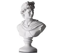 11.8 Inch Greek Statue of David, Classic Roman Bust Greek Mythology Sculpture for Home Decor,Large Resin Roman Goddess Apollo Sculpture for Home Décor Resin Crafts for Sketch Practice Artist (White)
